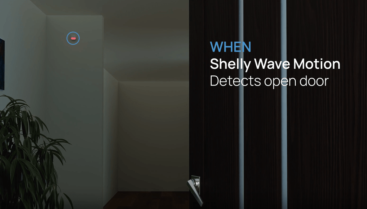Z - Wave Shelly Wave Motion - Vesternet