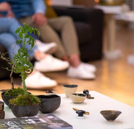 Nice Push Control - NICE - PUSH - WHITE - Vesternet