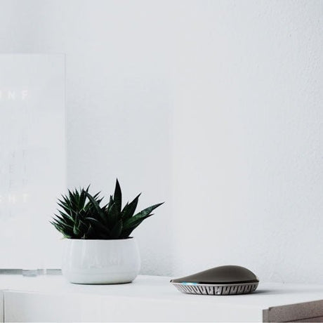 EzloPlus Smart Home Hub - EzloPlus - SHFL - Vesternet