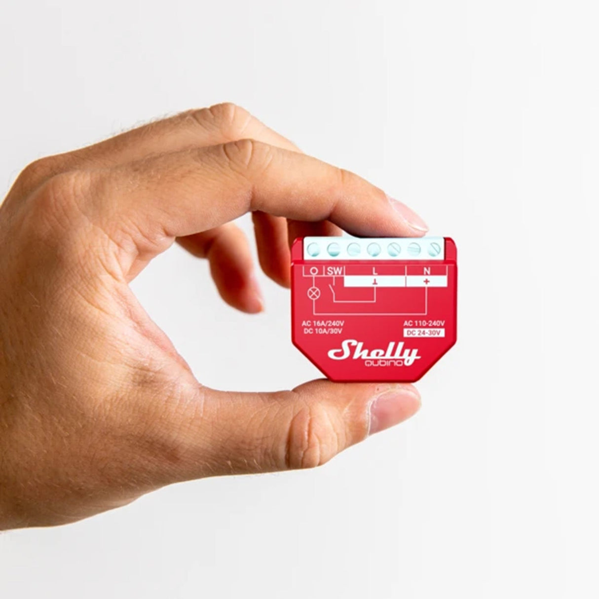 Shelly Qubino Z - Wave 1PM - QNSW - 001P16EU - Vesternet
