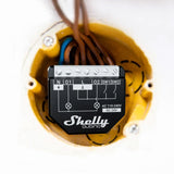 Shelly Qubino Z - Wave 2PM - QNSW - 002P16EU - Vesternet