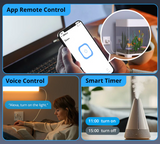 Zigbee Sonoff Micro USB Smart Adapter