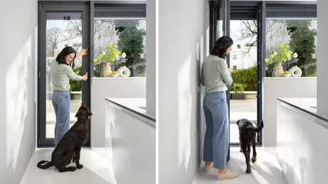 Matter Bosch Door Window Contact - BOSZ8750002950 - Vesternet