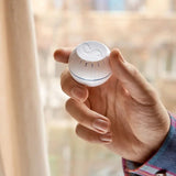 Z - Wave Shelly Wave H&T - Vesternet