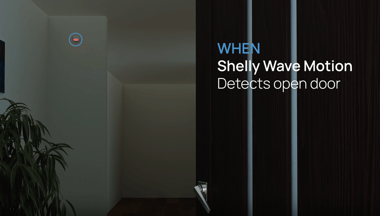 Z - Wave Shelly Wave Motion - Vesternet
