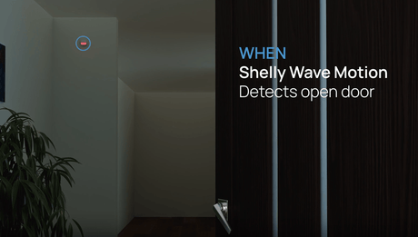Z - Wave Shelly Wave Motion - Vesternet